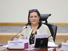 Renuncia de Guadalupe Taddei en el INE: Sheinbaum la califica de ‘buena decisión’ y Monreal advierte investigaciones