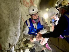 Otro RIGI para la minería: ingresa un proyecto de u$s 665 millones de inversión