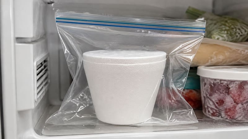 Guardar el helado en una bolsa dentro del freezer: para qué sirve y por qué lo recomiendan