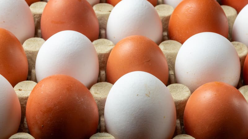 Guardar los huevos dentro o fuera de la heladera: cuál es la forma correcta y por qué recomiendan hacerlo solo de una manera