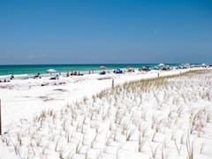 Equipos de trabajadores han reutilizado por casi 40 años miles de pinos en las playas de Alabama: se convierten en barreras contra la erosión
