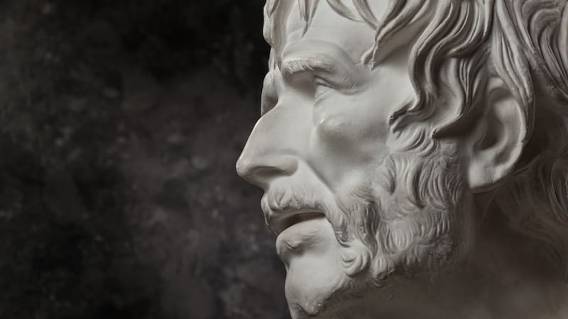 Séneca, filósofo estoico: “No es que tengamos poco tiempo para vivir, sino que desperdiciamos mucho”.