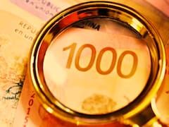 Plazo fijo, Lecap, ON y Cedear: cuatro formas de poner a trabajar los pesos según cada necesidad