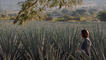 Scouter: La startup de Jalisco que seduce a Netflix y otras marcas con rodajes 35% más baratos que en CDMX