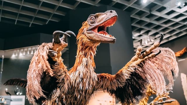 Hallazgo en China de un fósil de dinosaurio de 57 cm con plumas y alas reveló cómo estos reptiles evolucionaron su vuelo