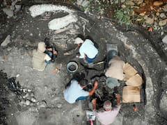 Hallazgo de fósiles de megafauna pleistocénica en este país de América: un perezoso y un mastodonte gigantes son desenterrados