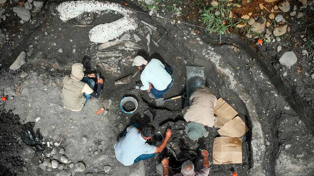 Hallazgo de fósiles de megafauna pleistocénica en este país de América: un perezoso y un mastodonte gigantes son desenterrados