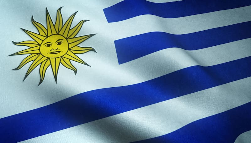 El hallazgo fue realizado en Montevideo. (Fuente: archivo)
