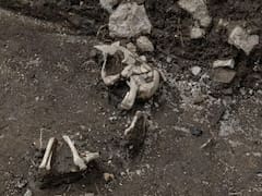 Descubrimiento impactante | Hallan relieves toltecas que resolverían uno de los enigmas más grandes de la historia de México