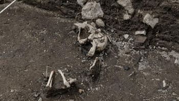 Descubrimiento impactante | Hallan relieves toltecas que resolverían uno de los enigmas más grandes de la historia de México