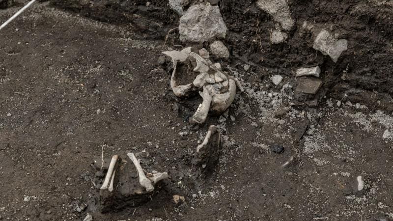 Hallan relieves toltecas que resolverían uno de los enigmas más grandes de la historia de México.