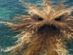 Hallan un “monstruo” marrón en el Atlántico: se extiende desde África hasta el Caribe y podría destruirlo todo