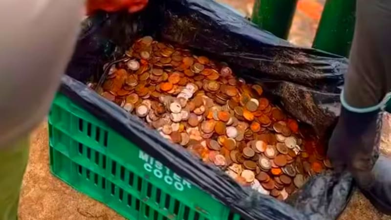 Hallaron más de 400 kilos de monedas bajo las Cataratas del Iguazú y alertan por el impacto ambiental (Fuente: Archivo).