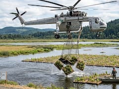 En 2023, investigadores lanzaron desde un helicóptero 90 islas con 450 plantas. 6 años después, los científicos analizaron las comunidades y quedaron sin palabras