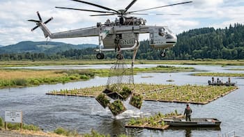 En 2023, investigadores lanzaron desde un helicóptero 90 islas con 450 plantas. 6 años después, los científicos analizaron las comunidades y quedaron sin palabras
