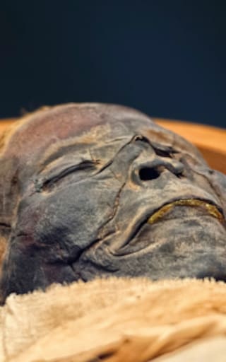 Hallazgo histórico en Egipto: encuentran una tumba repleta de momias y ataúdes de 3500 años