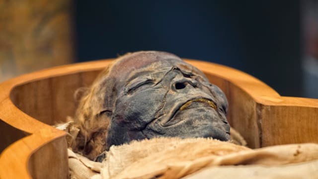 Hallazgo histórico en Egipto: encuentran una tumba repleta de momias y ataúdes de 3500 años