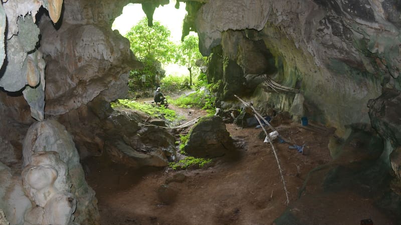 Cueva Leang Tedongnge, lugar del descubrimiento. Foto: AA Oktaviana