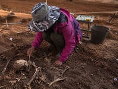 Hallazgo del siglo: arqueólogos encuentran en China el misterio del origen de la humanidad