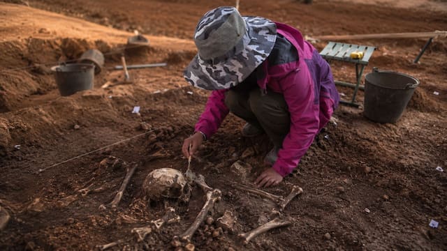 Descubrieron en China el secreto del origen del hombre durante una expedición arqueológica. Semillas, frutas y esporas son la clave de todo