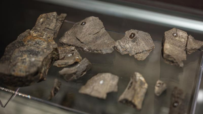 Hallazgo del siglo: arqueólogos encuentran en China el misterio del origen de la humanidad