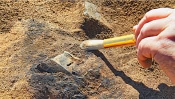 Hallazgo del siglo | Descubren una estructura maya de hace 2000 años: revela antiguos rituales y el origen de las primeras dinastías
