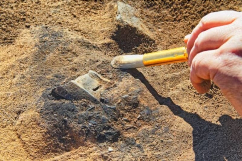 Descubren en unas obras en Bélgica un poblado romano de hace casi dos mil años. (Fuente: Shutterstock).