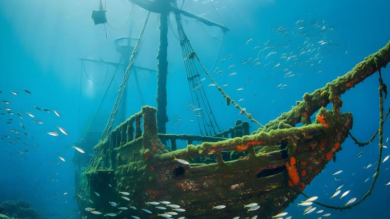 Hallazgo del siglo confirmado | Descubren la verdad del pirata Barbanegra: lo que escondía su barco cambia la historia para siempre
Fuente: Shutterstock