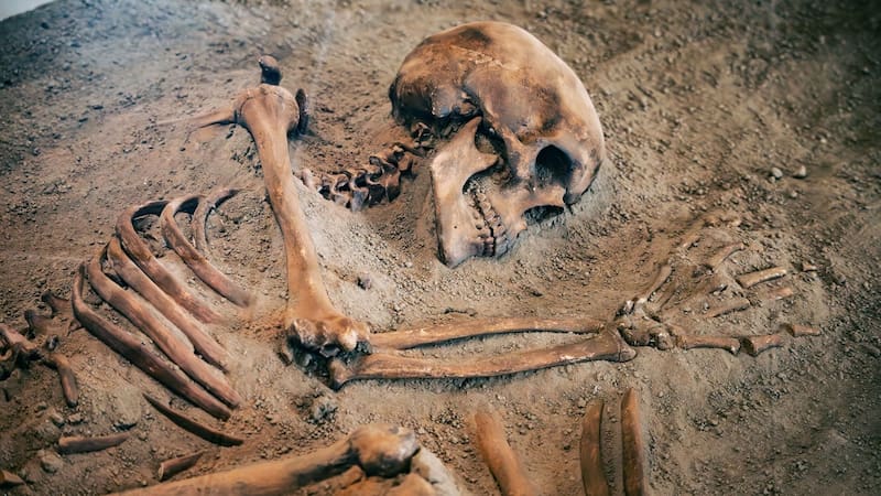 Hallazgo del siglo: descubrieron al verdadero ancestro del ser humano que cambia la historia de la evolución. Foto: Shutterstock