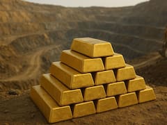 Descubrimiento del siglo | Desenterraron monedas y lingotes de oro en un campo cultivado y corresponde todo a este país