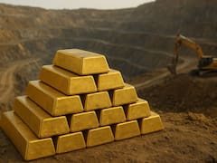 Hallazgo del siglo | Desentierran monedas y lingotes de oro en un campo sembrado y pertenece a un solo país