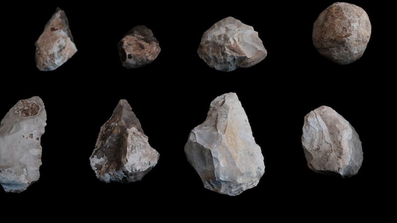 "La excavación también está sacando a la luz huesos de animales, como ciervos, gacelas y caballos antiguos", IAA.