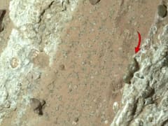 La NASA detectó indicios de vida y crece la preocupación por mundos alienígenas: el viaje al planeta podría durar entre 7 a 9 meses