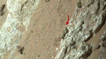 La NASA detectó indicios de vida y crece la preocupación por mundos alienígenas: el viaje al planeta podría durar entre 7 a 9 meses