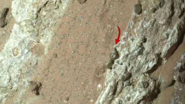 La NASA detectó indicios de vida y crece la preocupación por mundos alienígenas: el viaje al planeta podría durar entre 7 a 9 meses