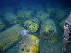 Hallazgo histórico en el océano: buscan recuperar 200.000 barriles radiactivos arrojados hace 80 años