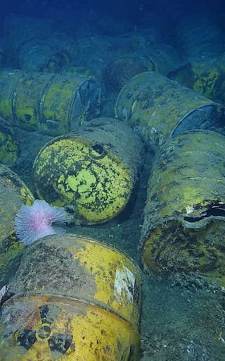 Hallazgo histórico en el océano: buscan recuperar 200.000 barriles radiactivos arrojados hace 80 años