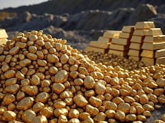 Descubrimiento sin precedentes| Desentierran monedas y lingotes de oro en un campo sembrado y es de un solo país