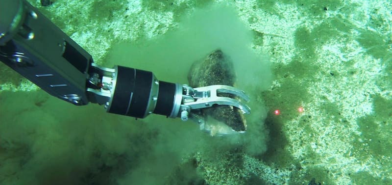 Un enorme cementerio de ballenas descubierto en el sureste del océano Índico es el más profundo, extenso y antiguo conocido.