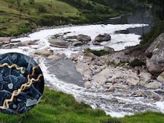 Perturbador hallazgo: encuentran en Colombia los primeros casos de una terrible enfermedad qué aún afecta a la humanidad