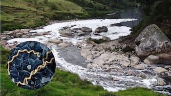 Perturbador hallazgo: encuentran en Colombia los primeros casos de una terrible enfermedad qué aún afecta a la humanidad