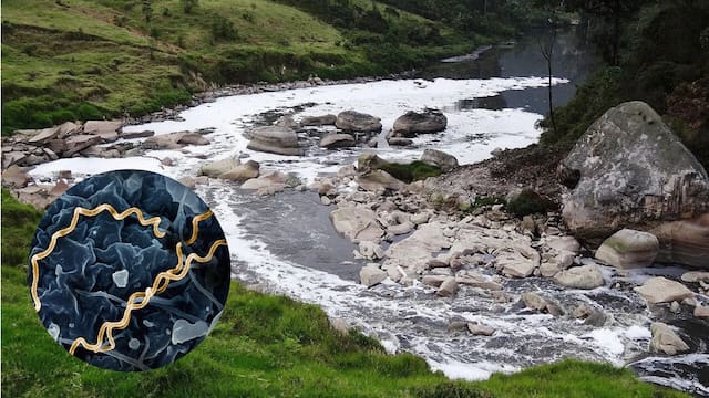 Perturbador hallazgo: encuentran en Colombia los primeros casos de una terrible enfermedad qué aún afecta a la humanidad