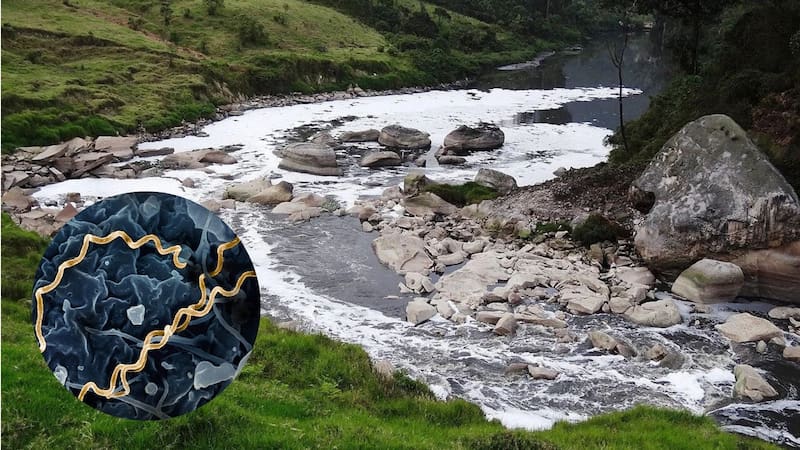 Perturbador hallazgo: encuentran en Colombia los primeros casos de una terrible enfermedad qué aún afecta a la humanidad.