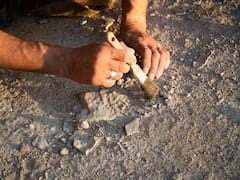 Hallazgo sin precedentes | Arqueólogos encuentran en China el secreto del origen del hombre