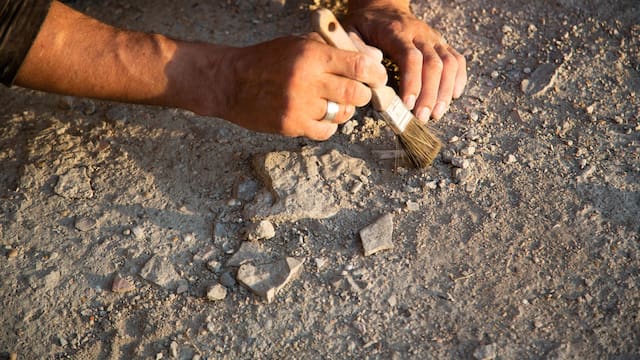 Hallazgo sin precedentes | Arqueólogos encuentran en China el secreto del origen del hombre
