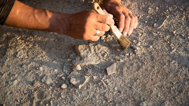 Hallazgo sin precedentes | Arqueólogos descubren en China el secreto del origen del hombre. (Fuente: Shutterstock).