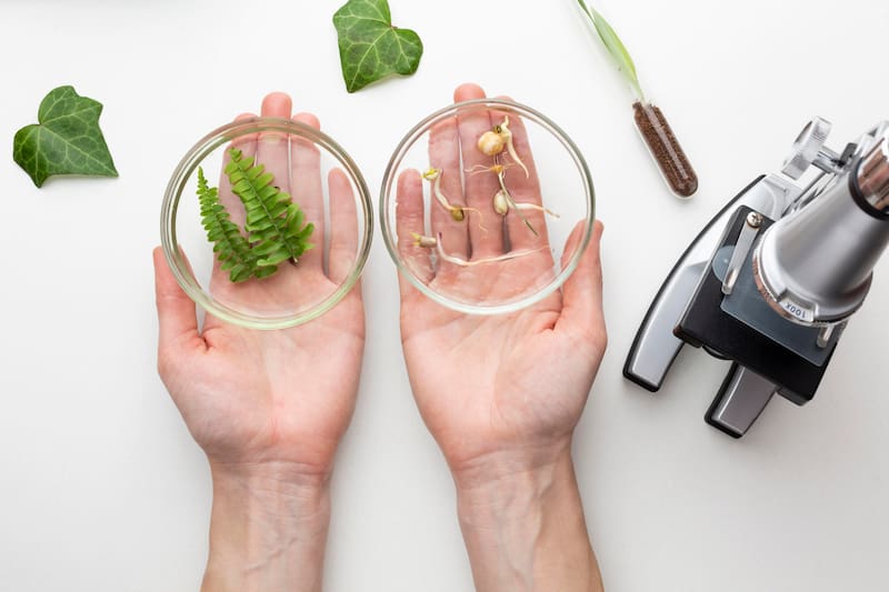 Hallazgo sin precedentes | Científicos descubren 11 nuevas especies de plantas en los Andes y sorprenden a los investigadores. Fuente: Freepik.