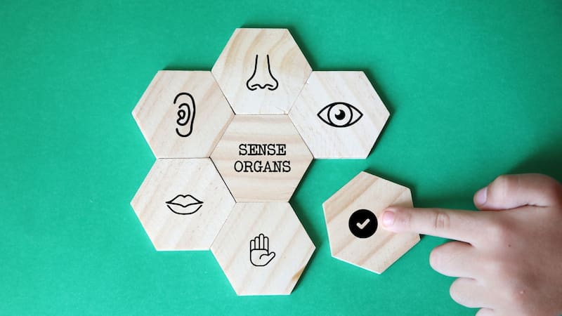 Hallazgo sin precedentes: científicos descubrieron el “séptimo sentido” en los humanos para detectar objetos bajo la arena. Foto: Shutterstock