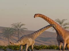 Descubren que los dinosaurios fueron clave en la formación de los paisajes naturales actuales. Fueron “ingenieros del ecosistema