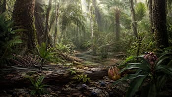 Hallazgo sin precedentes | Descubren una “Pompeya” de plantas: la ceniza volcánica preservó un bosque de hace 75 millones de años